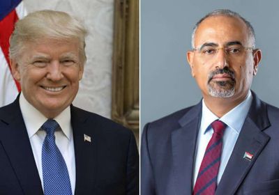 الرئيس الزُبيدي يعزي ترامب بضحايا تحطم طائرتين في واشنطن