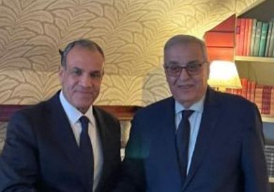 وزير الخارجية المصري يعقد مع نظيره اللبناني جلسة مباحثات في بيروت