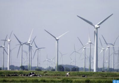 ألمانيا: انخفاض إنتاج طاقة الرياح يهدد أرباح الشركات