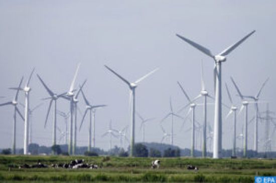ألمانيا: انخفاض إنتاج طاقة الرياح يهدد أرباح الشركات