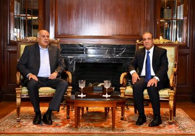 وزير الخارجية المصري يبحث مع أمين حركة فتح التطورات في الضفة وغزة