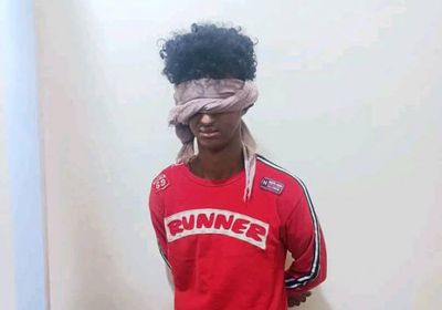 ضبط متهم هارب من جريمتي اغتصاب طفلين