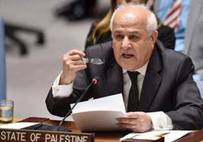 رياض منصور يشيد بدور مصر والأردن بشأن التهجير