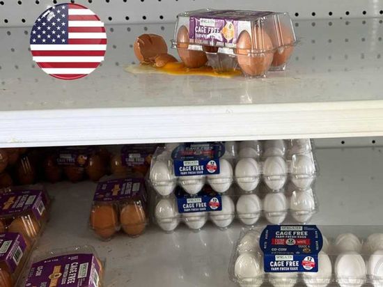 سرقة 100 ألف بيضة في أمريكا وسط أزمة ارتفاع الأسعار