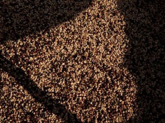 الجفاف في البرازيل يهدد الإمدادات العالمية من القهوة