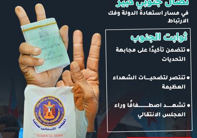 نضال الجنوب في وجه أعدائه..  مسار التحرر واستعادة الدولة (إنفوجراف)