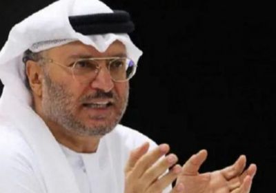 قرقاش: دعوة أبو الغيط لتنحي حماس في محلها