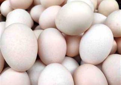 نقص البيض يدفع متاجر أمريكا لفرض حصص للشراء