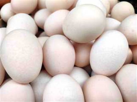 نقص البيض يدفع متاجر أمريكا لفرض حصص للشراء