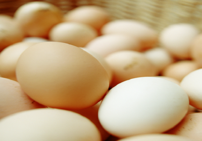 ارتفاع أسعار البيض بالولايات المتحدة بسبب إنفلونزا الطيور