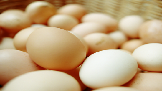 ارتفاع أسعار البيض بالولايات المتحدة بسبب إنفلونزا الطيور