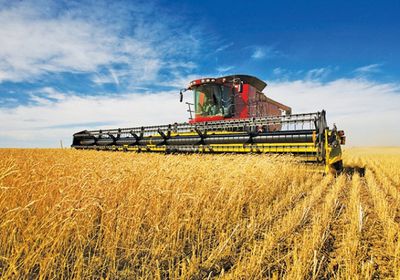 تخفيض التوقعات لإنتاج محاصيل أمريكا الجنوبية