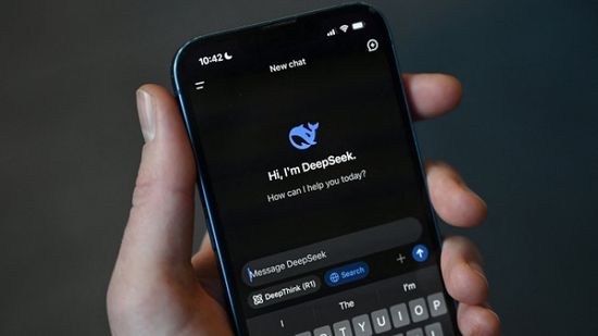 روبيني يقلل من ديب سيك ويحذر من مخاطر التضخم