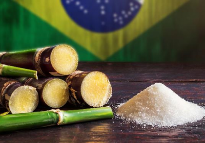 رايزن تبحث بيع أصولها لخفض الديون