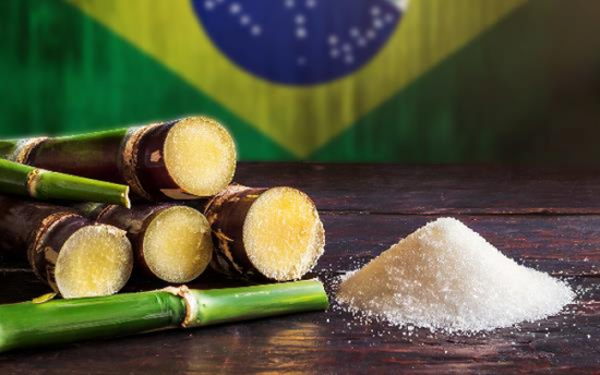 رايزن تبحث بيع أصولها لخفض الديون