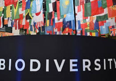 مفاوضات شاقة بين بلدان العالم في كوب16