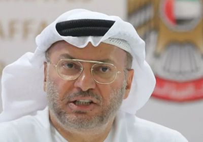 قرقاش: مواقف الإمارات ثابتة تجاه القضية الفلسطينية