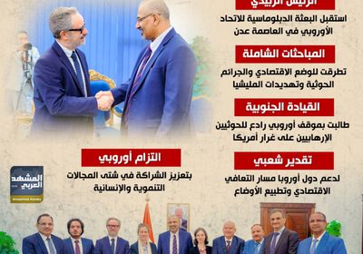 الجنوب يخاطب الاتحاد الأوروبي: صنفوا الحوثي منظمة إرهابية (إنفوجراف)