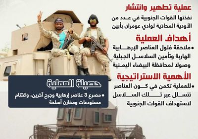 القوات الجنوبية في أبين.. تطهير وتأمين (إنفوجراف)