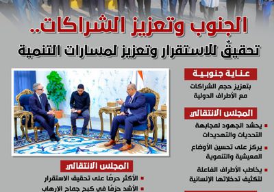 الجنوب وتعزيز الشراكات.. تحقيق للاستقرار وتعزيز لمسارات التنمية (إنفوجراف)