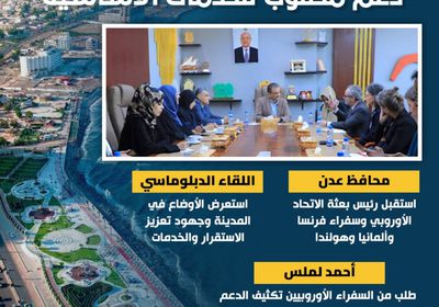 عدن تستدعي أصدقائها الأوروبيين.. دعم مطلوب للخدمات الأساسية (إنفوجراف)