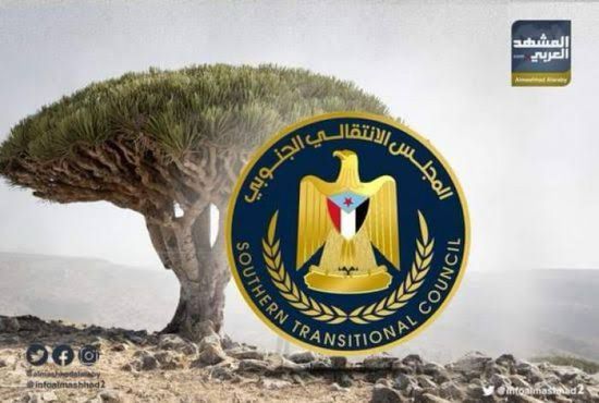 العناية باللغة السقطرية.. جهود المجلس الانتقالي تحمي هوية الجنوب