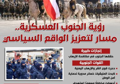 رؤية الجنوب العسكرية.. مسار لتعزيز الواقع السياسي (إنفوجراف)