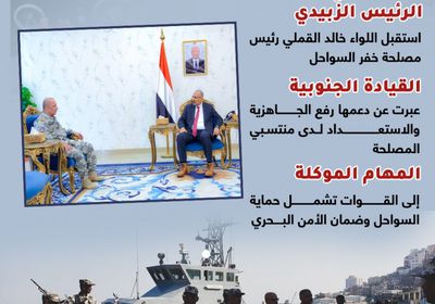 دعم جنوبي لتطوير قدرات خفر السواحل (إنفوجراف)