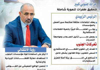 تنمية مؤسسات الجنوب.. الانتقالي يحمي ثرواته ومقدراته (إنفوجراف)