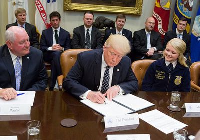  إدارة ترامب تخطط لشطب 80 ألف وظيفة بـ"المحاربين القدامى"