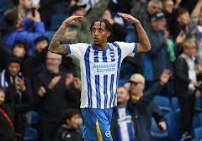 ركلة جزاء متأخرة من بيدرو تمنح برايتون الفوز على فولهام