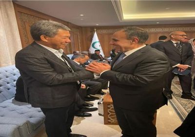 وزير الخارجية المصري يلتقي نظرائه في ماليزيا وأذربيجان وإندونيسيا والجابون