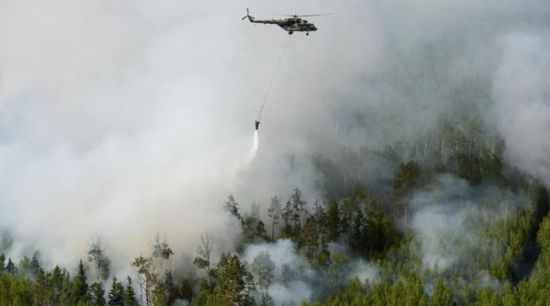 نيويورك تعلن الطوارئ بعد اندلاع حرائق غابات