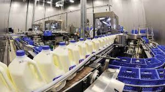 129% نسبة اكتفاء السعودية من منتجات الألبان