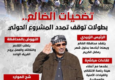 تضحيات الضالع.. بطولات توقف تمدد المشروع الحوثي (إنفوجراف)