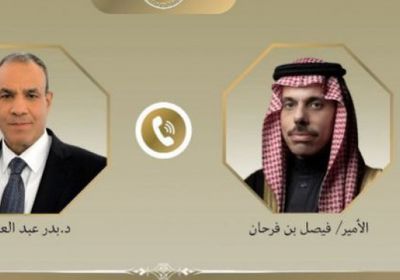 وزيرا خارجية مصر والسعودية يبحثان إعادة إعمار غزة والمستجدات في سوريا