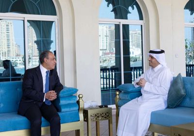 وزير الخارجية المصري يلتقي رئيس الوزراء القطري في الدوحة