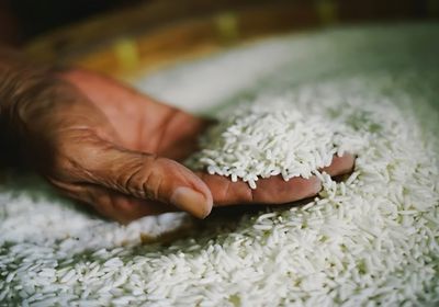 أمريكا تهدد اليابان برسوم جمركية متبادلة بسبب الأرز