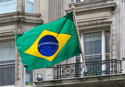 البرازيل تخطط لزيادة صادرات البيض إلى أمريكا