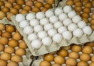 أمريكا تبحث استيراد البيض من أوروبا لمواجهة ارتفاع الأسعار