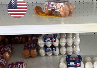 انخفاض أسعار البيض بالجملة في الولايات المتحدة