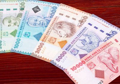 الشلن التنزاني الأسوأ أداءً عالميًا بسبب الديون