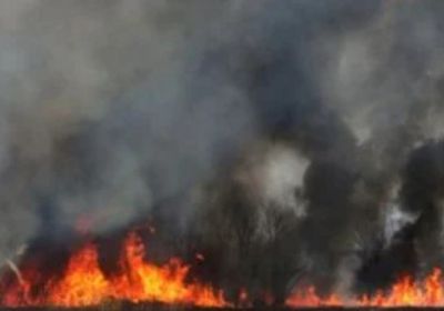 مصرع وإصابة 10 أشخاص جراء حرائق الغابات في كوريا الجنوبية