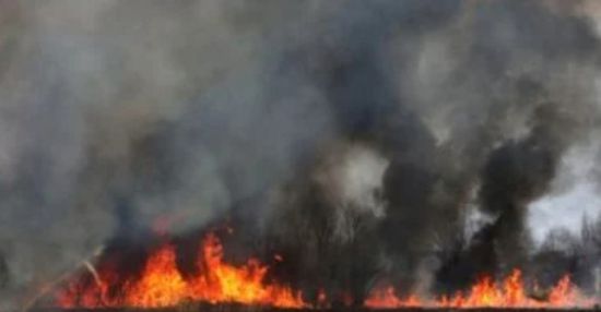 مصرع وإصابة 10 أشخاص جراء حرائق الغابات في كوريا الجنوبية