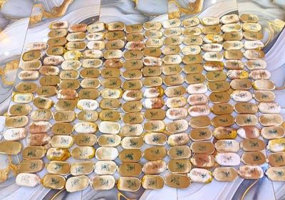 الجيش الأردني: إحباط محاولة تهريب مخدرات قادمة من الأراضي السورية