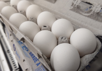 انخفاض أسعار البيض في أمريكا بعد أزمة إنفلونزا الطيور