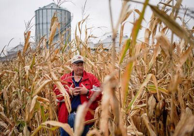 المزارعون الأمريكيون يتضررون من الرسوم الجمركية