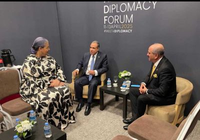 وزير الخارجية المصري يؤكد دعم القاهرة للحل الليبي-الليبي