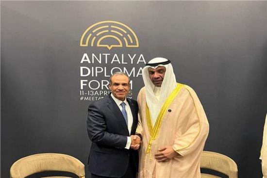 وزير الخارجية المصري يبحث مع نظيره الكويتي الحشد الدولي للخطة العربية لإعمار غزة