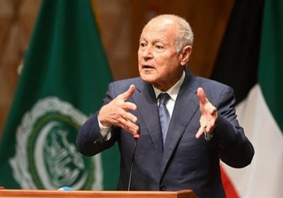 أبو الغيط يكشف المسؤول عن عرقلة تطبيق حل الدولتين